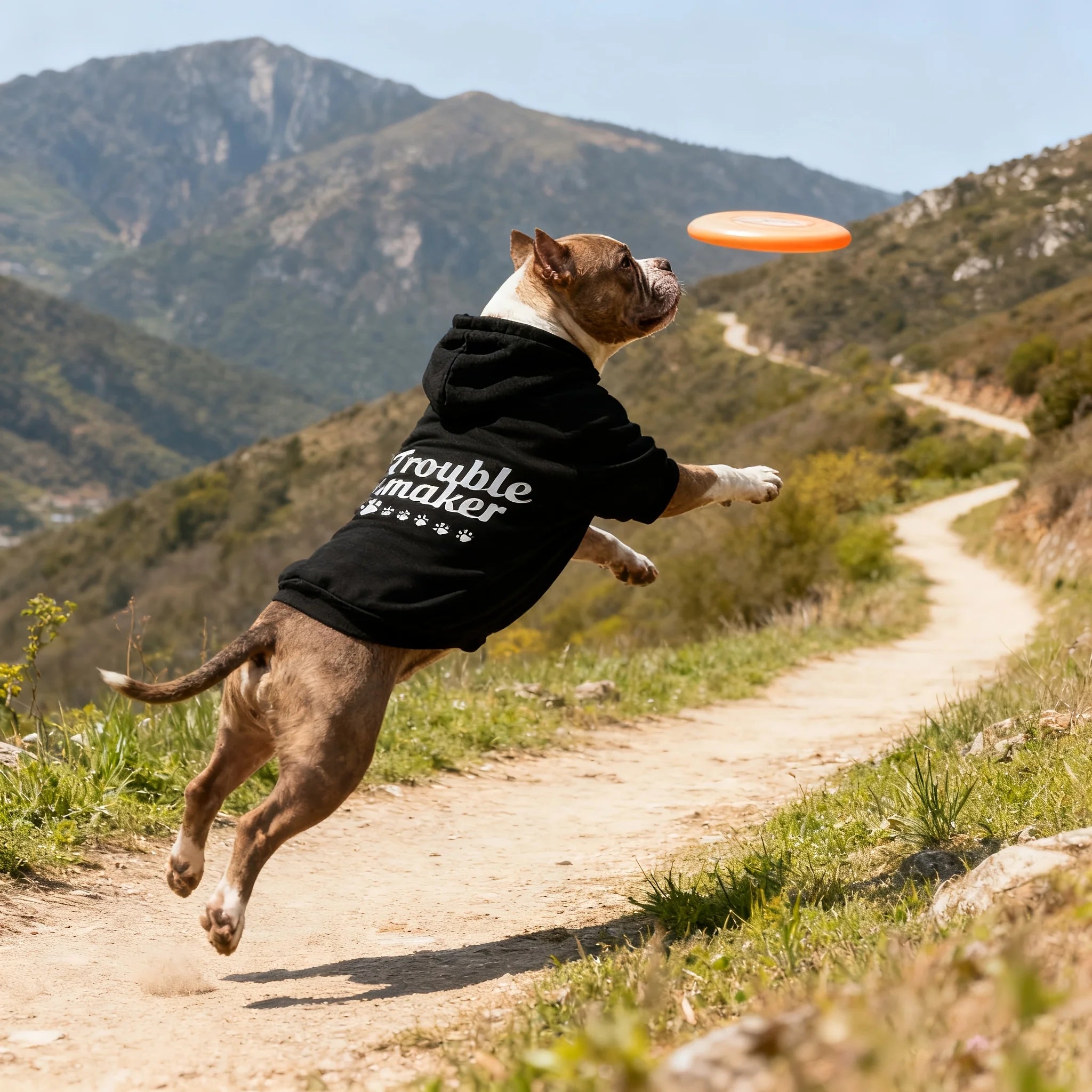 3XL~8XL Trouble Maker Dog Hoodie Sweater Winter Hooded Pet Jacket with Paw Print & "Trouble Maker" Text, Soft Paw Collar Sleeve
