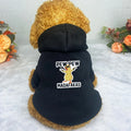 Winter Hooded Dog Sweatshirt for Small & Medium Dogs - Duck Print 'PEW PEW...' Red Cozy Hoodie Seasonal Dog  Pet Lovers